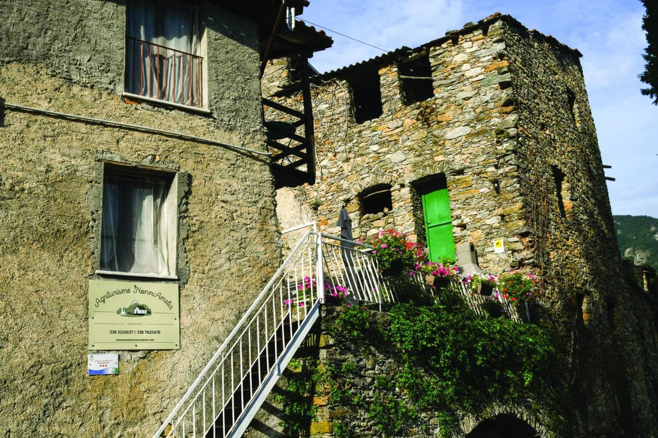 Apartment Nonnamelia *