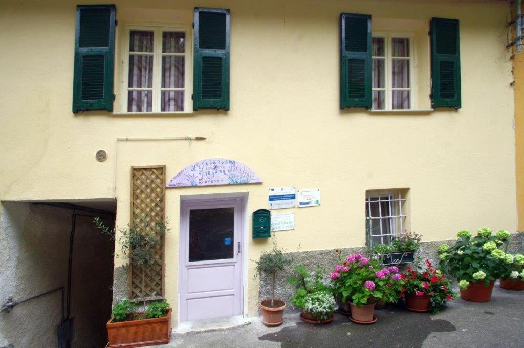 Nonnamelia Apartment Nasino